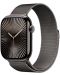 Смарт часовник Аpple - Watch S10 Cell, 42 mm, Slate Titanium Case with Slate Milanese Loop - 2t