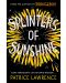Splinters of Sunshine - 1t