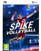 Spike Volleyball (PC) - 1t