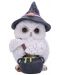 Статуетка Nemesis Now Adult: Gothic - Owl Potion, 17 cm - 1t
