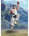 Street Fighter V S.H. Figuarts Action Figure - Ryu, 15 cm - 6t