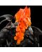 Статуетка Weta Movies: The Lord of the Rings - Balrog, 27 cm - 5t