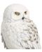 Статуетка The Noble Collection Movies: Harry Potter - Hedwig (Magical Creatures), 24 cm - 3t