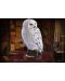 Статуетка The Noble Collection Movies: Harry Potter - Hedwig (Magical Creatures), 24 cm - 5t