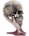 Статуетка Nemesis Now Music: Metallica - Sad But True Skull, 22 cm - 1t