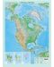 Стенна физикогеографска карта на Северна Америка (1:9 000 000) - 1t