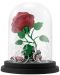 Статуетка ABYstyle Disney: Beauty and the Beast - Enchanted Rose, 12 cm - 4t