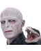 Статуетка бюст Nemesis Now Movies: Harry Potter - Lord Voldemort, 31 cm - 5t