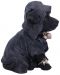 Статуетка Nemesis Now Adult: Gothic - Reaper's Canine, 17 cm - 4t