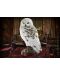 Статуетка The Noble Collection Movies: Harry Potter - Hedwig (Magical Creatures), 24 cm - 6t