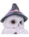 Статуетка Nemesis Now Adult: Gothic - Owl Potion, 17 cm - 6t