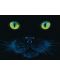 Пъзел SunsOut от 1000 части - Черна котка, Чарлс Лин Браг - 1t