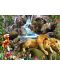 Пъзел SunsOut от 1000 части - Водопадът на влюбените лъвове, Аликсандра Мълинс - 1t