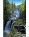 Пъзел SunsOut от 550 части - Мечки на водопада, Кевин Даниел - 1t