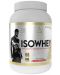 IsoWhey, манго йогурт, 1600 g, Lazar Angelov Nutrition - 1t