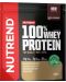 100% Whey Protein, шоколадово брауни, 1000 g, Nutrend - 1t