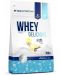 Whey Delicious, vanilla, 700 g, AllNutrition - 1t