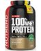 100% Whey Protein, ананас с кокос, 2250 g, Nutrend - 1t