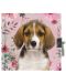 Таен дневник с катинар Paso – Сладко куче, Paso Dog - 1t