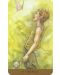 Tarot of the Hidden Realm (78-Card Deck and Guidebook) - 4t