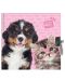 Таен дневник с катинар Paso Studio Pets – Куче и коте с очила - 1t