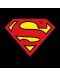 Тениска ABYstyle DC Comics: Superman - Superman Logo - 2t