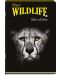 Тетрадка Black&White - Wildlife, А4, 60 листа, широки редове, асортимент - 2t