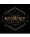 Тениска ABYstyle Movies: Harry Potter - Hogwarts Legacy - 2t