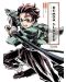 The Art of Demon Slayer: Kimetsu no Yaiba the Anime - 1t