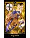 The Anime Tarot Deck and Guidebook - 2t