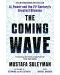 The Coming Wave - 1t