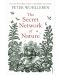 The Secret Network of Nature - 1t