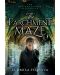 The Parchment Maze - 1t