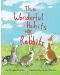 The Wonderful Habits of Rabbits - 1t
