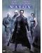 The Matrix (DVD) - 1t