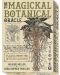 The Magickal Botanical Oracle (33-Card Deck) - 1t
