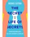 The Secret Life of Secrets - 1t
