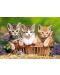 Пъзел Castorland от 500 части - Три сладки котета - 2t