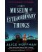 The Museum of Extraordinary Things - 1t