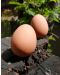 Топка Kikkerland - Подскачащо яйце - 2t