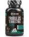 Tribulus Terrestris 90%, 60 капсули, Maxxwin - 1t
