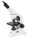 Цифров микроскоп Levenhuk - Rainbow D50L PLUS 2M, бял - 2t