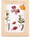 Творчески комплект Kikkerland Huckleberry - Направи картина със сушени цветя - 2t