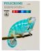 Комплект пастели мек тебешир Primo - 24 цвята - 1t