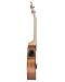 Концерт укулеле Cascha - HH 2035E Premium Mahogany, кафяво - 5t