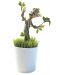 Отгледай сам - растение в саксия със светеща фигурка Groot - 1t