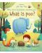 Very First Questions and Answers: What is poo? - 1t