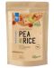 Vegan Protein Pea and Rice, лешник, 500 g, Nutriversum - 1t