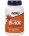 Vitamin B-100 Sustained Release, 100 таблетки, Now - 1t