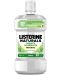 Listerine Вода за уста Naturals Gum Protect, 500 ml - 1t